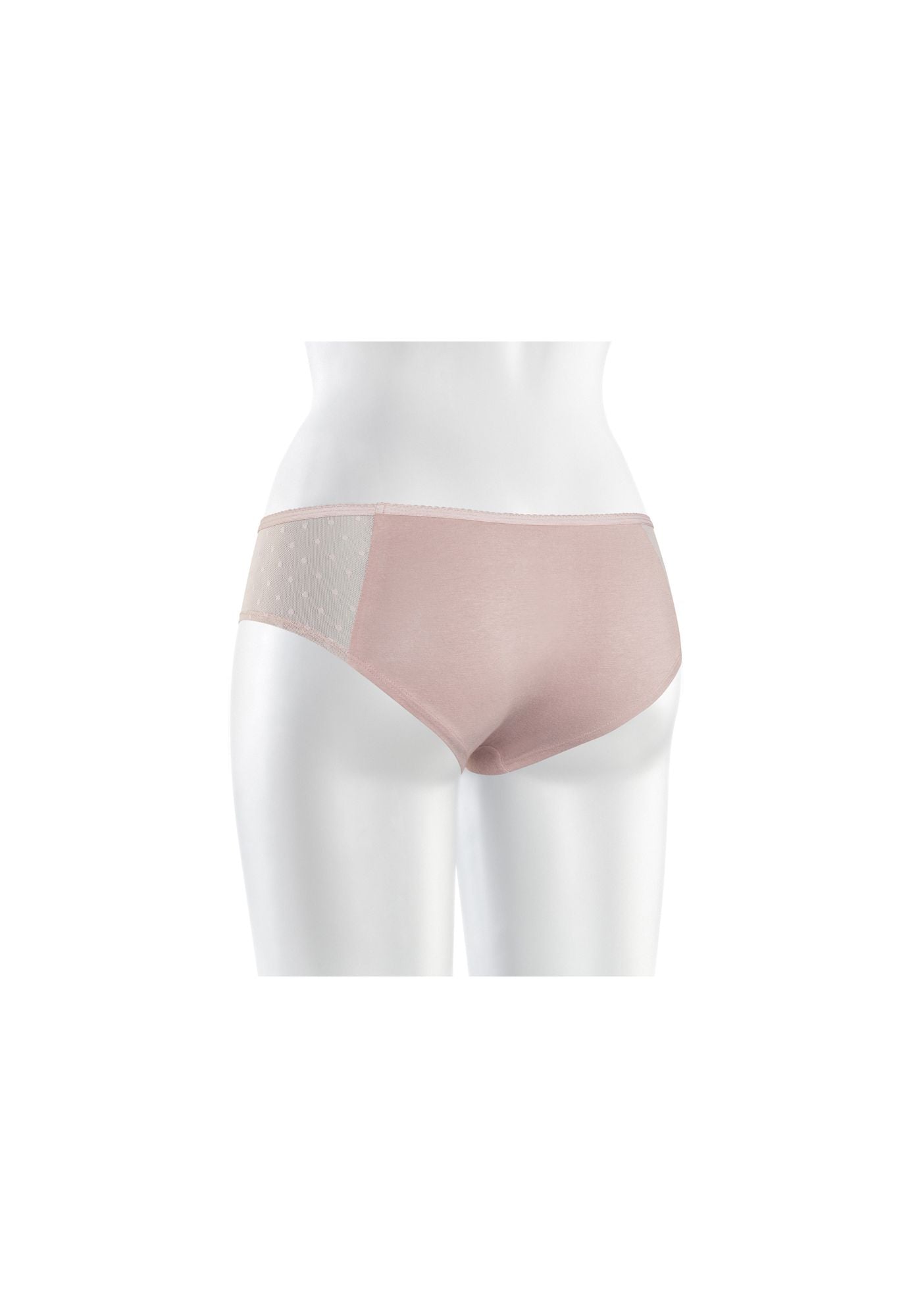 TT21 Panty Side Netlace Whisper